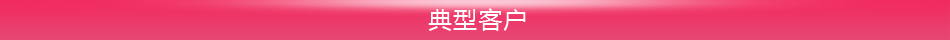 典型客户
